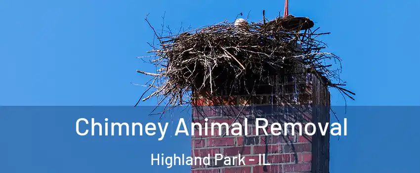  Chimney Animal Removal Highland Park - IL