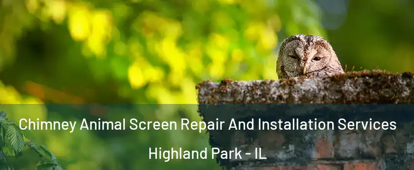  Chimney Animal Screen Repair And Installation Services Highland Park - IL