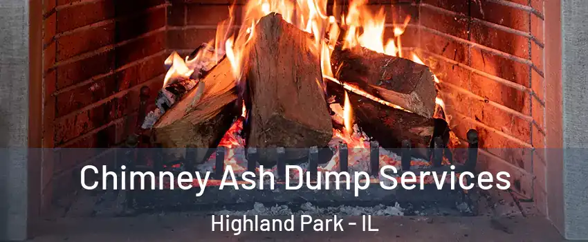  Chimney Ash Dump Services Highland Park - IL