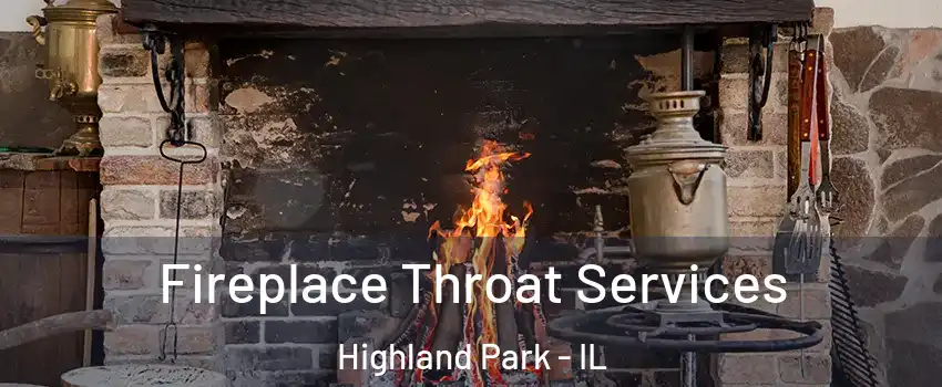  Fireplace Throat Services Highland Park - IL