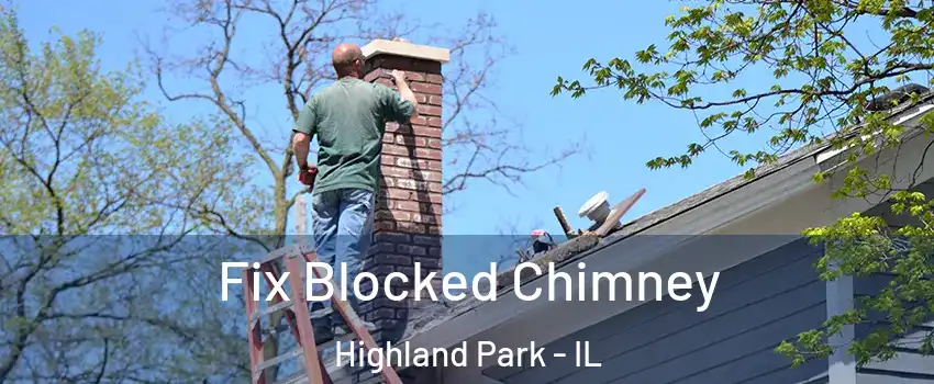  Fix Blocked Chimney Highland Park - IL