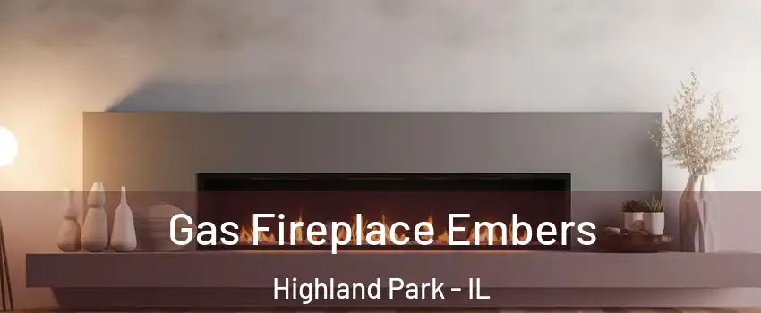  Gas Fireplace Embers Highland Park - IL