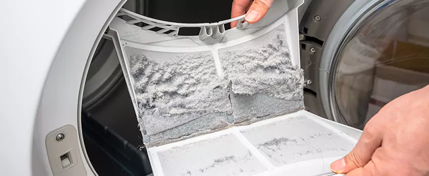 Best Dryer Lint Removal Company in Highland Park, Illinois