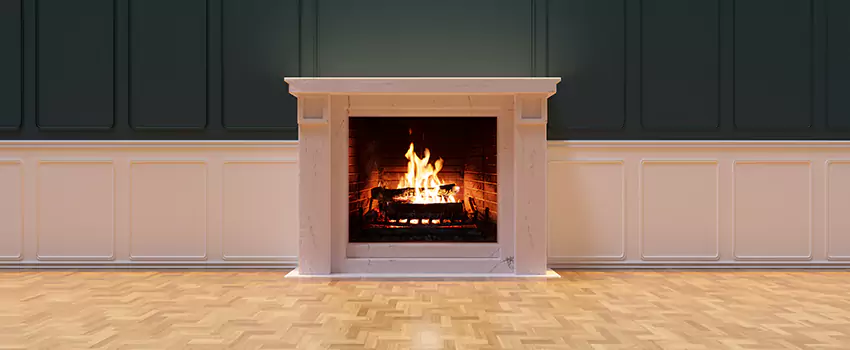 Napoleon Electric Fireplaces Inspection Service in Highland Park, Illinois