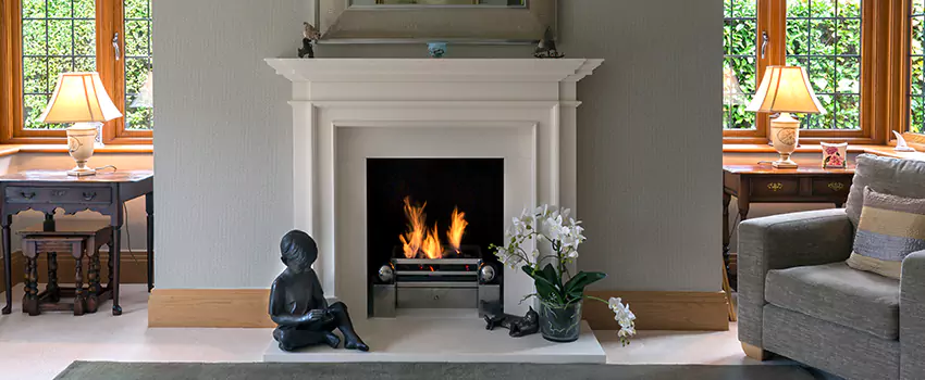 Astria Open-Hearth Wood Fireplaces Services in Highland Park, IL