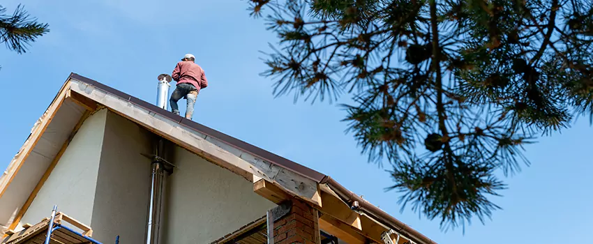 Birds Removal Contractors from Chimney in Highland Park, IL