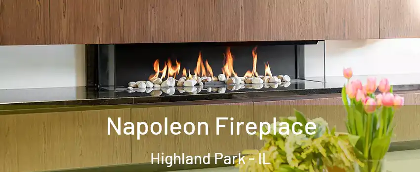  Napoleon Fireplace Highland Park - IL