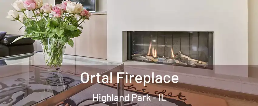  Ortal Fireplace Highland Park - IL